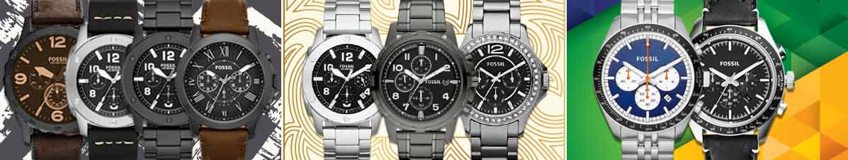 Fossil long