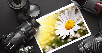 Canon Mirrorless Cameras