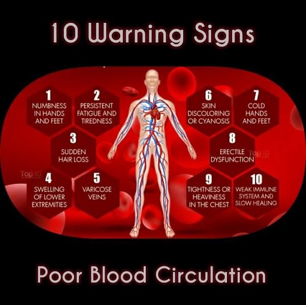 blood circulation.jpg