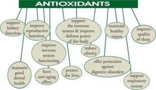 anti oxidants.jpg