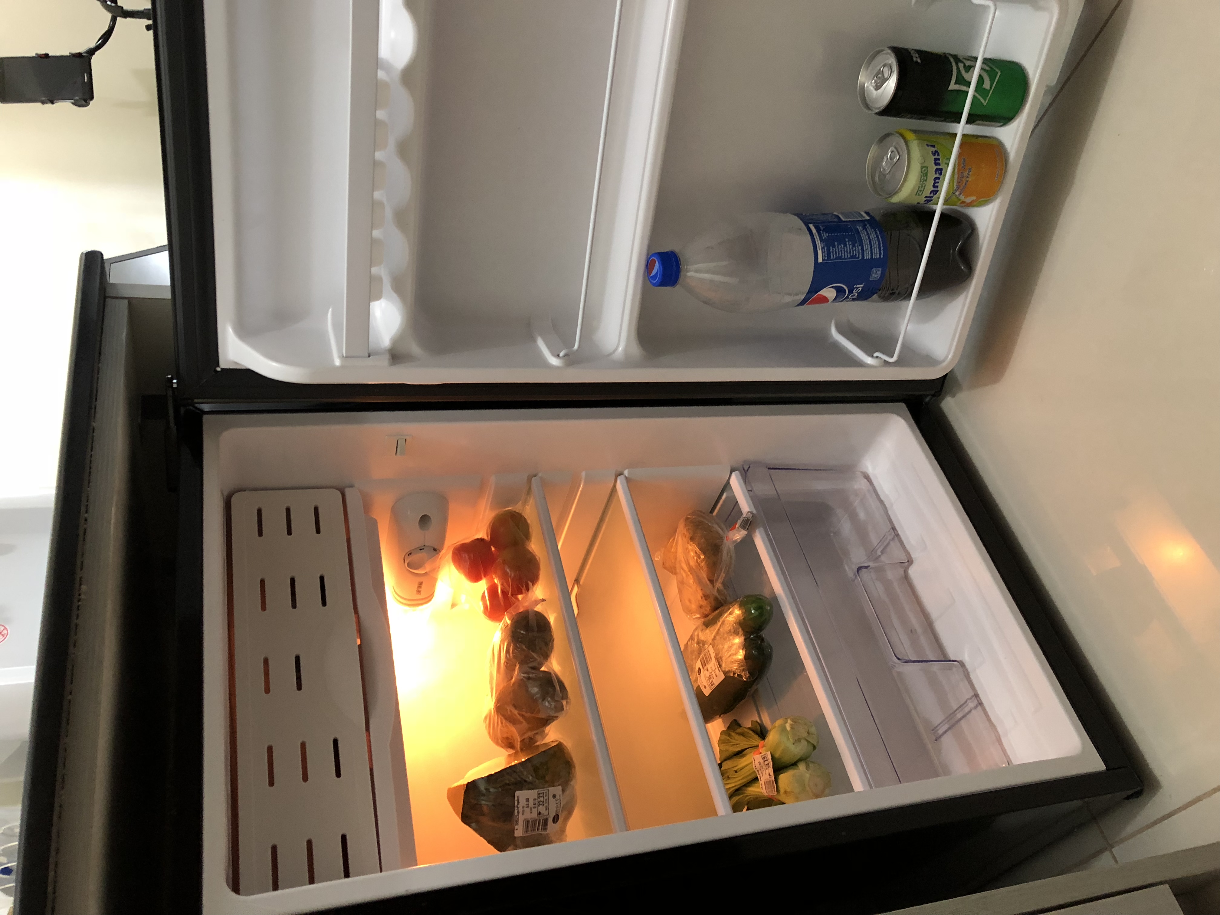 ezy refrigerator es 99r