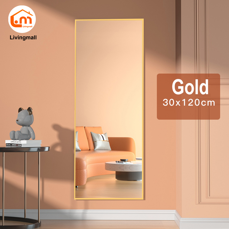Full Body Mirror with Stand Arch Mirror Full Length Mirror Floor/Wall Mount Dual Use Mirror Dressing Mirror
