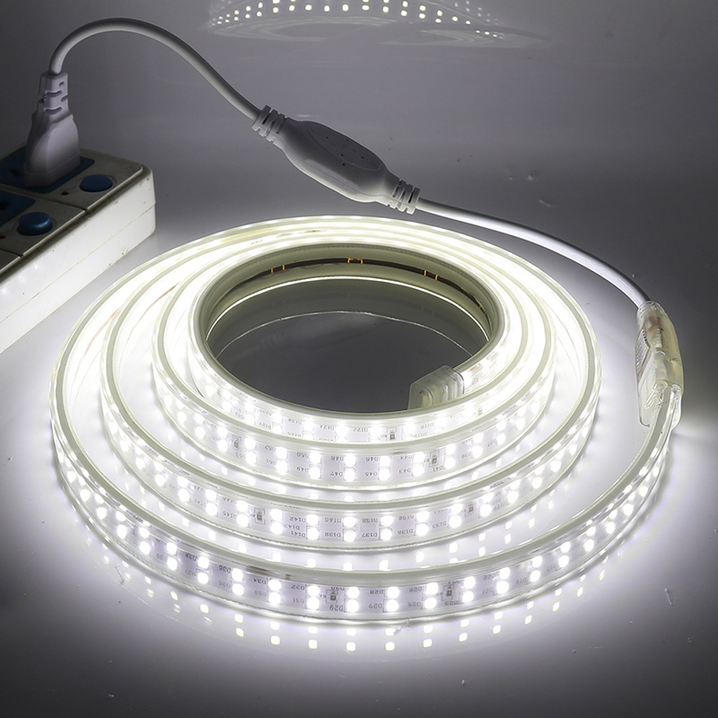 LED Strip Light 220V With Plug Indoor Outdoor Flexible Light Strip White Warm RGB Waterproof Christmas Lamp ALINLT
