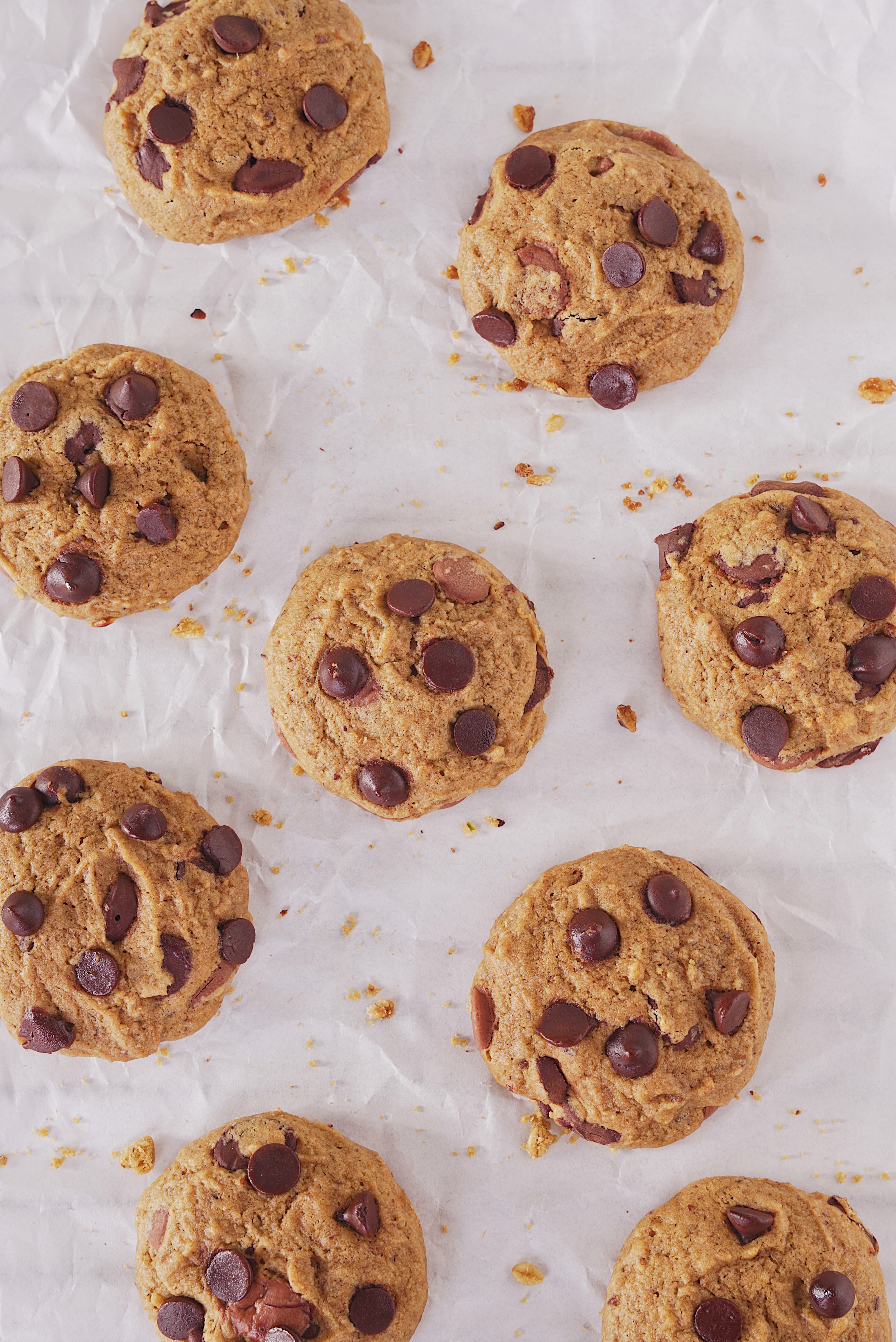 Milking Bombs by ABC Belgian Chocolate Chip Cookies