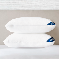 [B1T1 Expanded Pillow] Joyce & Diana Buy 1 Take 1 US Fiber Expanded Pillow