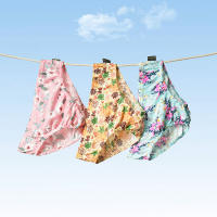 Clearance Sale Womens Soft Breathable Cotton Underwear 3/6/12 Packs Mid Rise Comfort Daily Panties for Women
