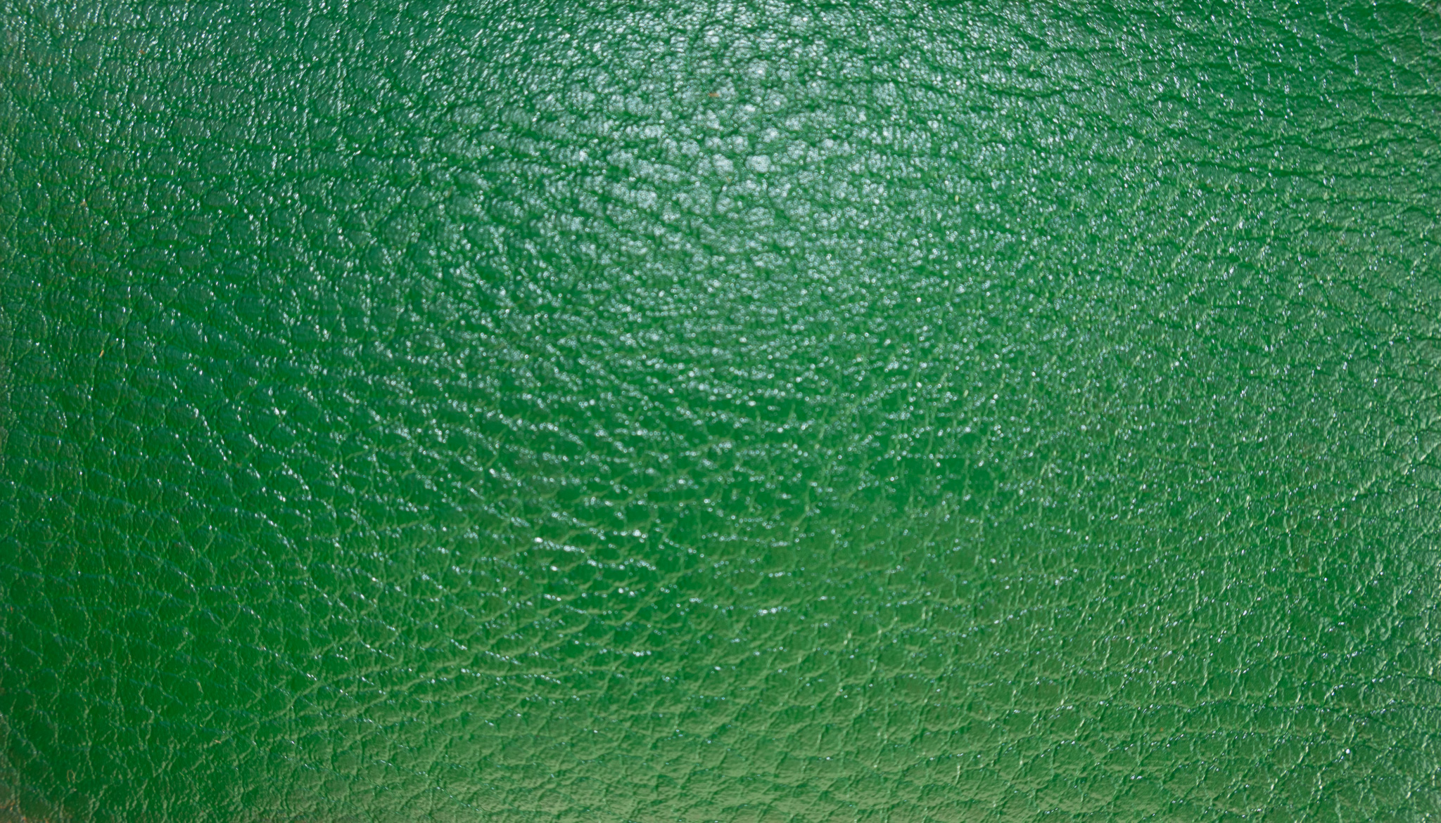 Liam Jacob Premium Glossy Green Acrylic Leather Paint Coloring High-Durability Flexible Finish for any Leather Items