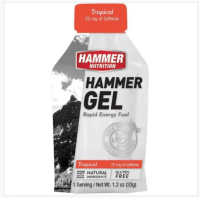 Hammer Nutrition Energy Gel 33g – Natural Energy No Sugar Crash Easy to Digest | Single Serving Assorted Flavors for Endurance & Multi-Sport Athletes
