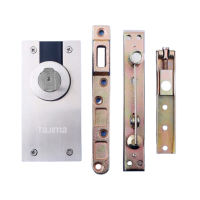 Tajima Stainless 304 Pivot Hinge 250kg