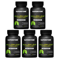 Mullein Supplement Herbal Support for Healthy Respiratory Bronchial and Immune Function 4:1 Extract | 60 Vegetarian Capsules