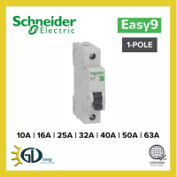 1Pole Schneider Easy9 6kAIC MCB 10A 16A 20A 25A 32A 40A 50A 63A Miniature Circuit Breaker
