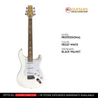 RJ Vibecaster Electric Guitar (Silversky Stratocaster)