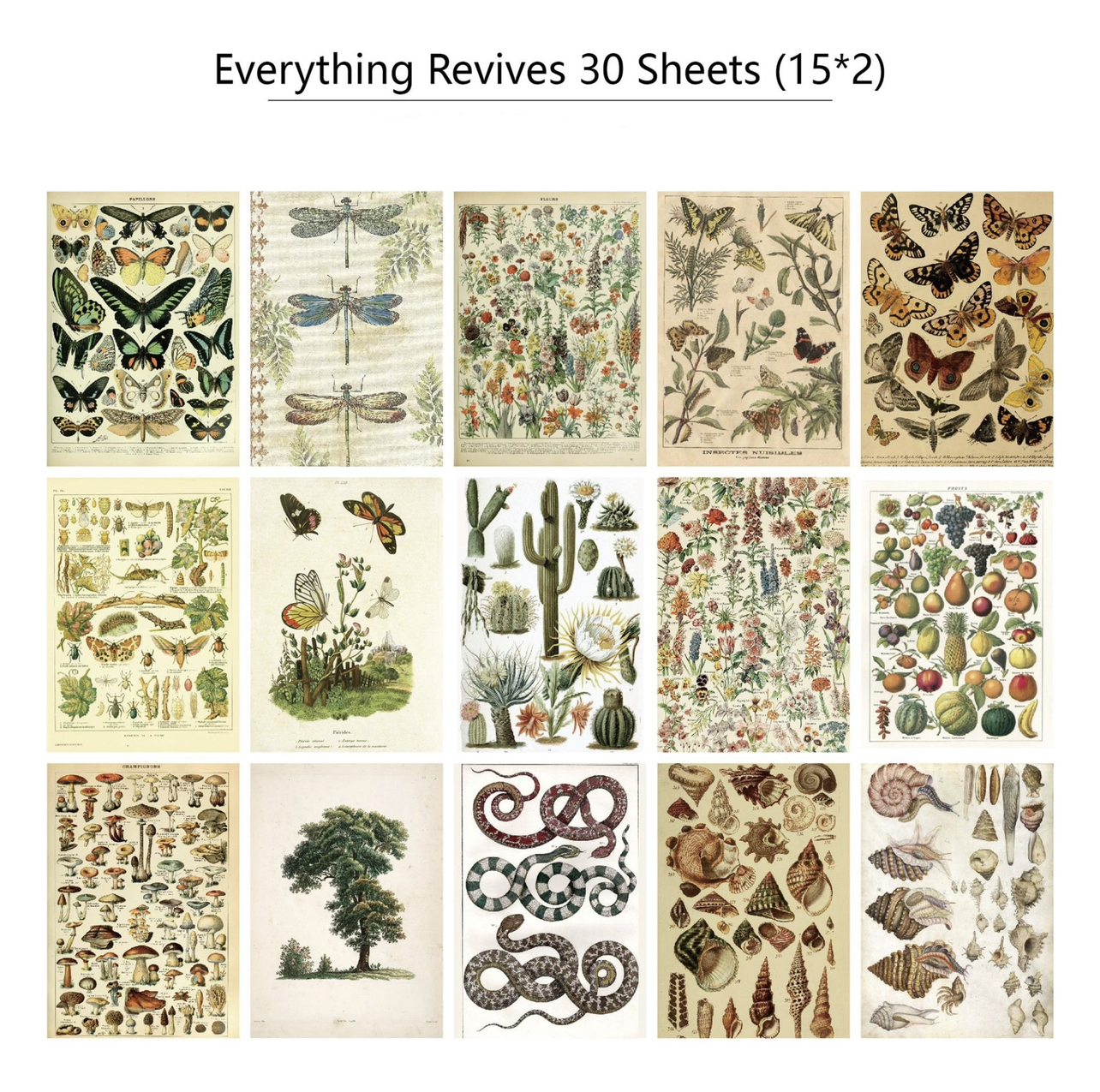 30 pcs Vintage ins Diary/Scrapbook background/base material paper