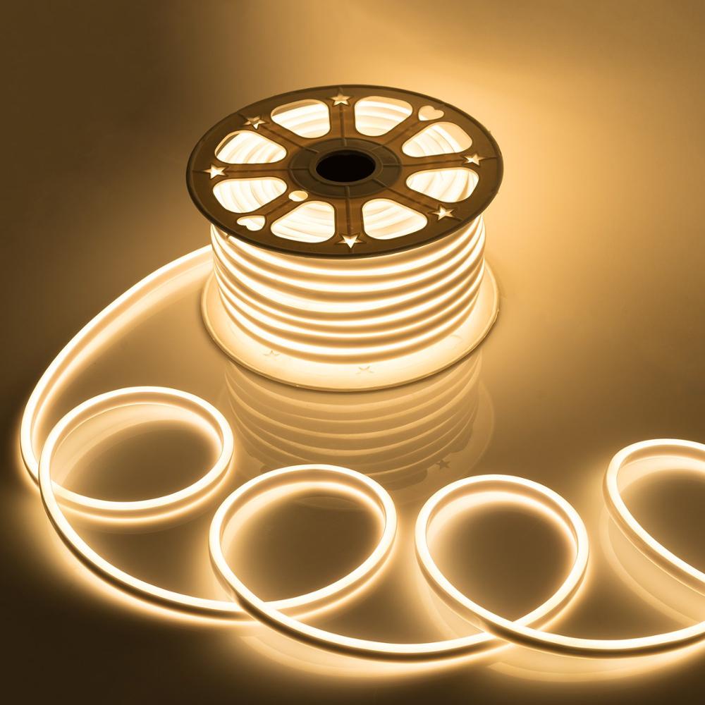 【BUY 1 TAKE 1 BUY 800-50 】TEP strip light ceiling LED with light waterproof flexible with light embedded led lights strip light 220v indoor and outdoor lighting decorative lights(With Free plug)