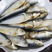Tuyo Dried Fish Tuyo Pinoy Bayanihan Food 500grams