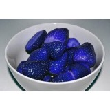 Arctic Land 100PCS Natural Organic Blue Strawberry Seeds Nutritious Delicious Plant Seed - Intl August 2018 - 3 Arctic Land 100PCS Natural Organic Blue Strawberry Seeds Nutritious Delicious Plant Seed - intl - 3