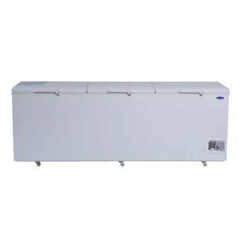 Fujidenzo FC-29 ADF 29 cu.ft Solid Top Chest Freezers (White)