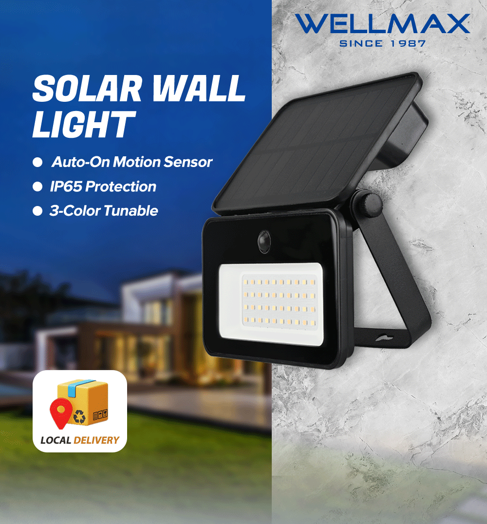 WELLMAX Solar Light Outdoor Waterproof 3-Color Dimming Auto-on Motion Sensor Solar Charging Light for Garden Wall