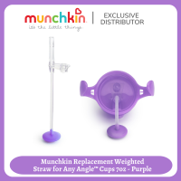 Munchkin Replacement Weighted Straw for Any Angle™ Cups 7oz - Purple