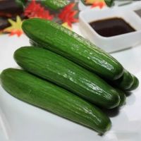 CUCUMBER SEEDS /HYBRID/EASY TO GROW/HIGH YIELDING Vegetable Seeds 10PCS