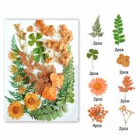 Dried Flowers Real Natural Plant Pressed Flower For Epoxy Resin Filling DIY Nail Art Handicrafts Jewelry Making Craft 16-19pcs