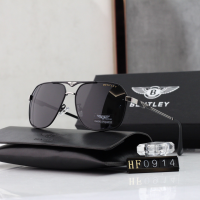 Authentic BMW/Audi Polarized Sunglasses For Men Fishing Driving Beach Fashion Shades Men Original Brand Metal Frame Anti UV400 With Case