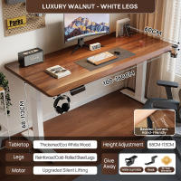 XPANSE Curved Corners Electric Office Study Table Adjustable Computer Table Standing Desk【30 Day Free Trlal】