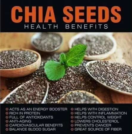 Organic Black Chia Seeds from the Philippines