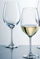 Schott Zwiesel White Wine and Water Glass (6 pcs)