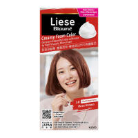 Liese Blauné Creamy Foam Color (Rose Brown) – DIY Gray Hair Dye Mess-Free Lasting Color
