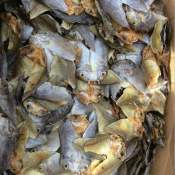 Danggit Boneless, CEBU Specialty, Sun Dried Fish for Frying