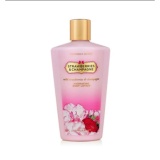 Victoria's Secret Strawberries And Champagne Hydrating Body Lotion 250mL Set Of 2 August 2018 - 2 Victoria's Secret Strawberries and Champagne Hydrating Body Lotion 250mL Set Of 2 - 2