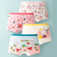 iBaby Cotton Blend Comfort Sleepwear Set for Girls - Cartoon Bunny Design Breathable Underwear Panties Sizes S-XXL