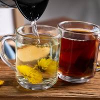 DELISOGA Clear water drinking glass teacups coffee glass with handle (1PC/6PCS SET) Colorbox ZB24