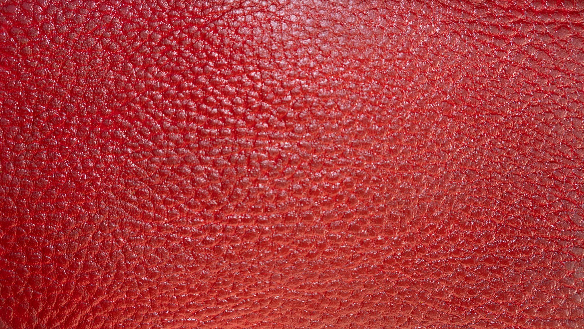 Liam Jacob Premium Glossy Red Acrylic Leather Paint Coloring High-Durability Flexible Finish for any Leather Items