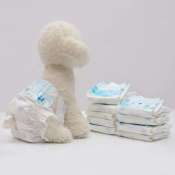 10's Diaper for dog