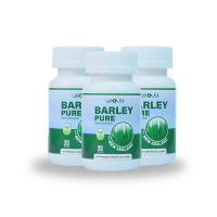 Yeoubi Barley Pure Strengthen Immune System | Remove Toxins | Reduce Blood Cholesterol