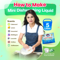 Wise Cleaner Mini DIY Dishwashing Liquid Kit 3L or 5L for Trial Refill and Starter Negosyo