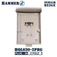 Hammer Brand NEMA 3R Weatherproof Enclosure 2-Pole Electrical Panel Box with Bolt-On Connection