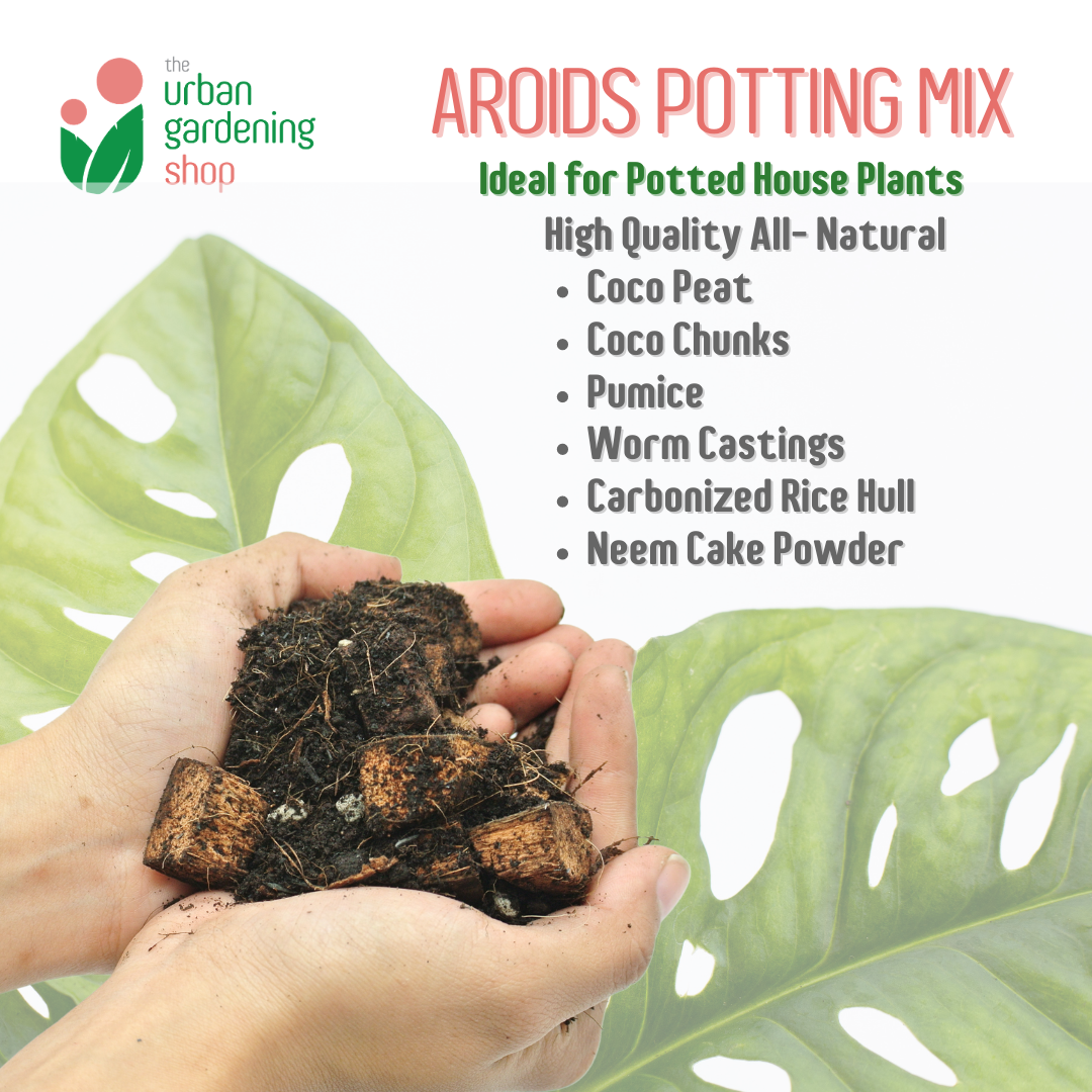 AROIDS SOIL LESS POTTING MIX (4liter / 2kg) Best for Monstera