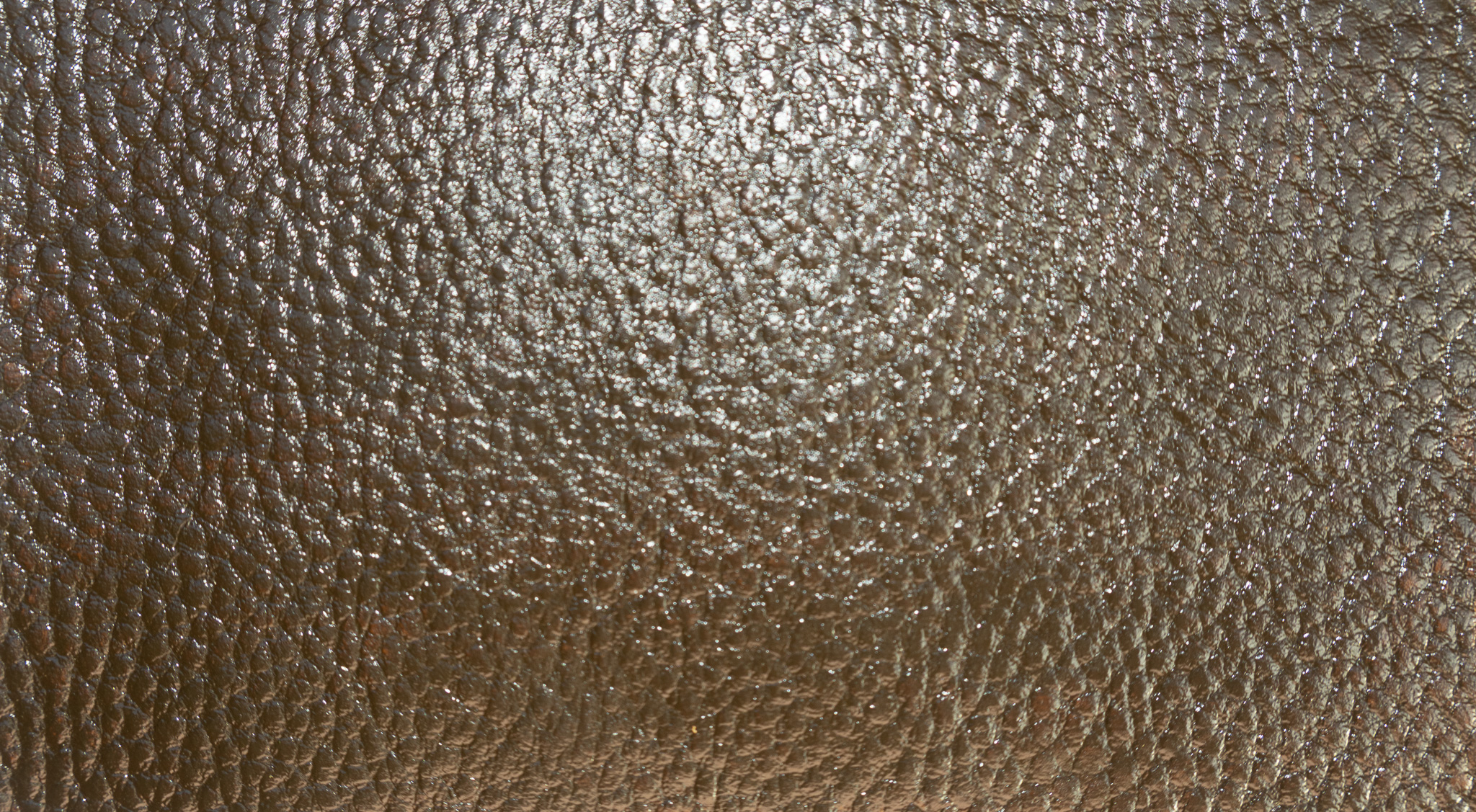 Liam Jacob Premium Glossy Brown Acrylic Leather Paint Coloring High-Durability Flexible Finish for any Leather Items