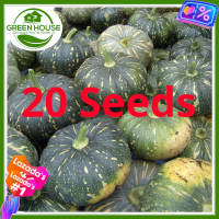 Green House® - Kalabasa Seeds for Planting Vegetable Plants (20 Seed) incl. Planting Instructions Squash Plant Pumpkin