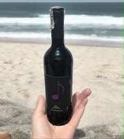 7 Hills Natural Sweet Red Wine 750mL /FINCAMIGUEL CAVA Brut Sparkling Wine -7hills