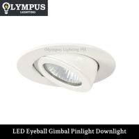 Olympus LED Eyeball Gimbal Pinlight Downlight (Replaceable Bulb)