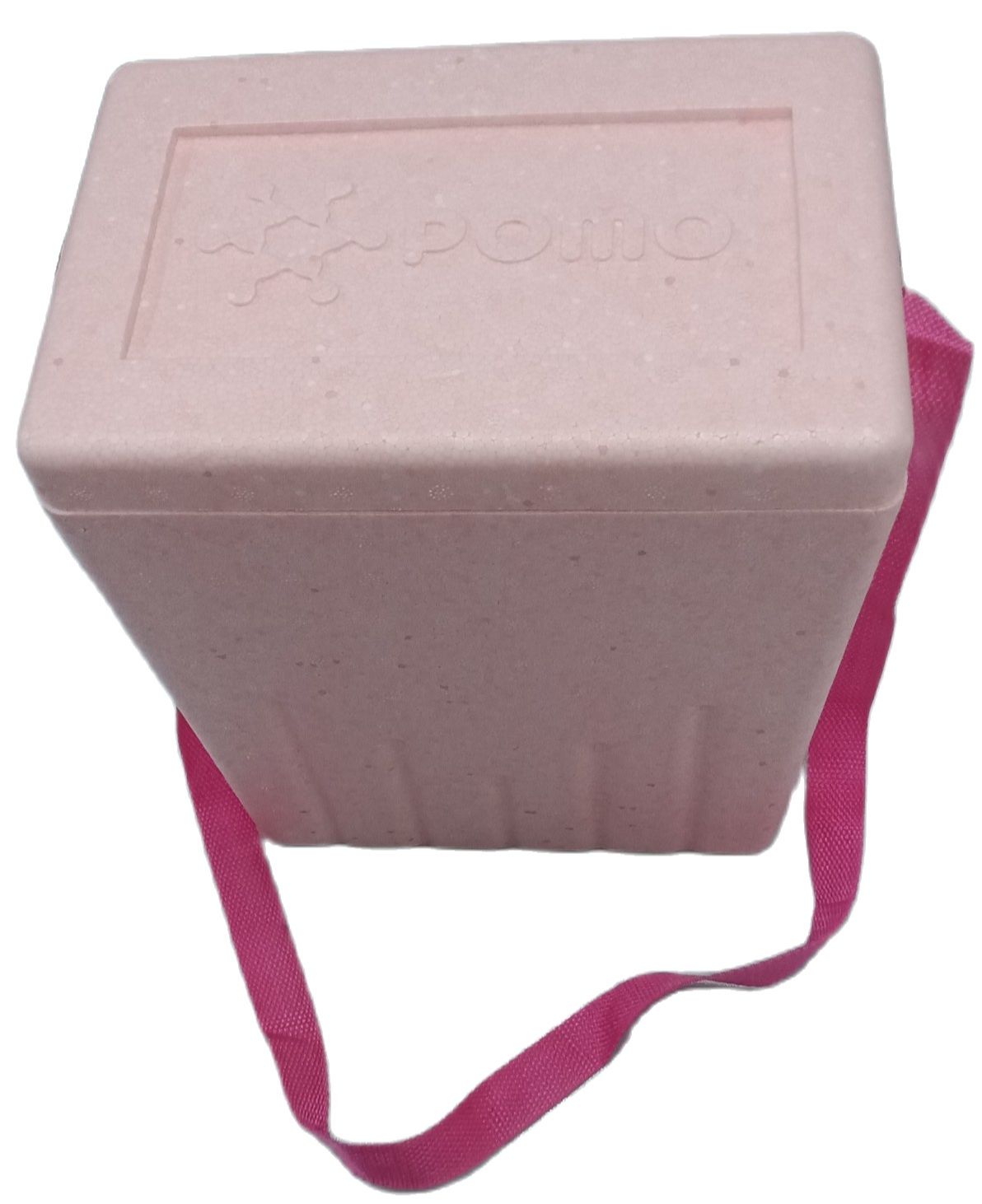 Styro Box Ice shops Chest Box Medium