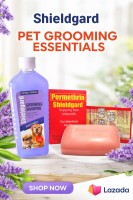 FREE Soap + Lavender Scent Shieldgard Dog Grooming Shampoo 240ml