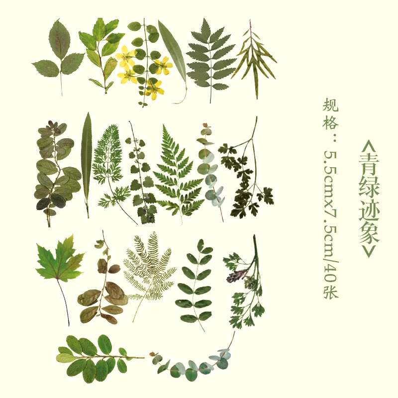 40 Pcs Vintage Flowers Plants Stickers DIY Decoration PET Scrapbook Stickers For Planners Scrapbooking Laptops
