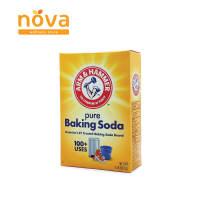 Arm & Hammer Pure Baking Soda (box)
