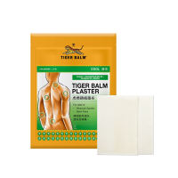 Tiger Balm Cool and Warm Plaster 2s for Pain Relief and Comfort