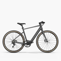 FIIDO C21 gravel ebike